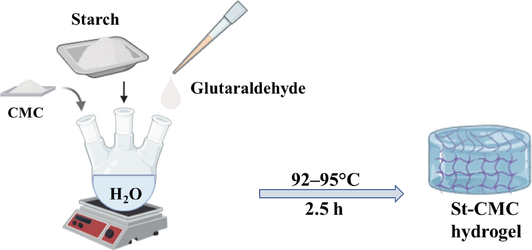 Biopolymer-based hydrogel formulations for improved seed coating performance