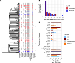 Evolutionary inference reveals global natural histories and predicted pathways of antimicrobial resistance in Klebsiella pneumoniae
